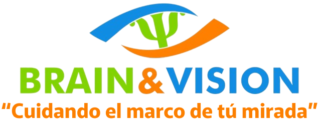 Brain & Vision